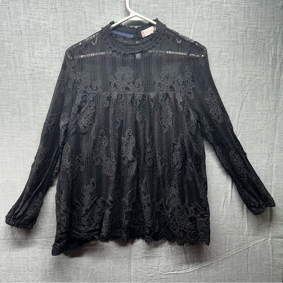 Altar'd State Tops - Altar'd State Black Lace Blouse Sheer Lace arms/chest Sz. Medium Flowy scalloped